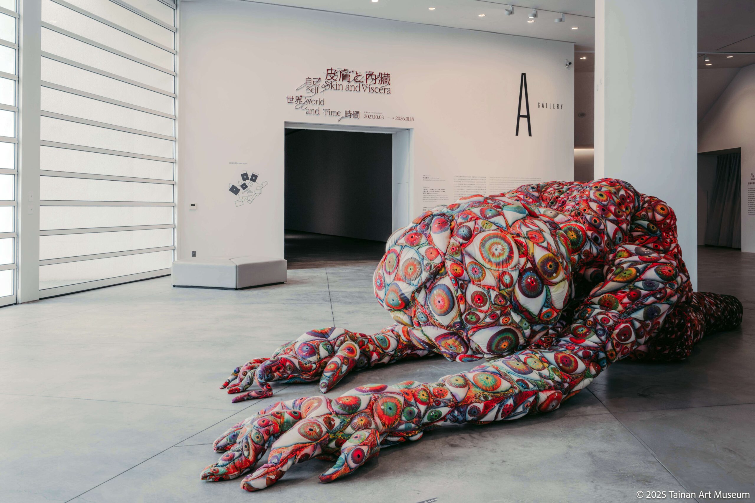 台南市美術館「⽪膚と内臓―⾃⼰、世界、時間」展